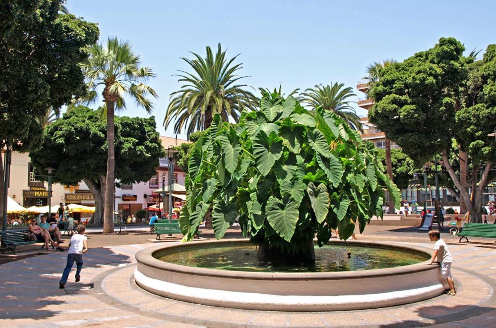Heaven In Canary Islands 88 Apartment ปูแอร์โตเดลาครูซ ภายนอก รูปภาพ